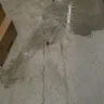Dollar Tree - Slip and fall - Photo 3