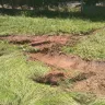 Arizona Public Service [APS] - damaged grass and ruts - Photo 1