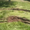 Arizona Public Service [APS] - damaged grass and ruts - Photo 2