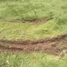 Arizona Public Service [APS] - damaged grass and ruts - Photo 4