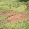 Arizona Public Service [APS] - damaged grass and ruts