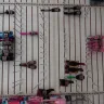Dollar Tree - boxes everywhere in health and beauty - Photo 1