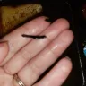 Zaxby's - customer service - Photo 1