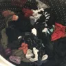 Maytag - top loader washing machine - Photo 1