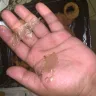 Zaxby's - my whole experience. - Photo 1