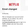 Netflix - account hacking