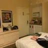 Westgate Resorts - room and size and roaches in room - Photo 1