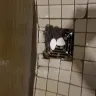 Crunch Fitness - change room and showers - Photo 5