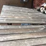 Xcel Energy - digging up my yard - Photo 1