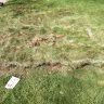 Xcel Energy - digging up my yard - Photo 2