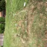 Xcel Energy - digging up my yard
