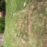 Xcel Energy - digging up my yard - Photo 3