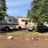 Motel 6 - people living in old rv’s - Photo 3