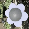 Next Deal Shop - Solar powered led flower lawn light