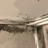 HomeAway - unclean property & no internet - Photo 2