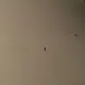 Lowe's - damage in my house - Photo 7