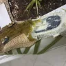 Ecco - defective sole in golf and casual shoes - Photo 4