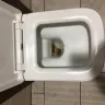 Tim Hortons - the state of the toilets facilities - Photo 5
