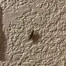 Days Inn - hotel room - Photo 2
