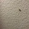 Days Inn - hotel room - Photo 4