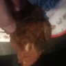 KFC - chicken - Photo 1