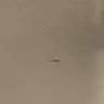 Americas Best Value Inn - hotel room - Photo 2