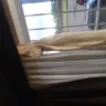 Americas Best Value Inn - hotel room - Photo 8