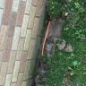 DISH Network - technician attempted to bury cable in my yard