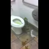 Walmart - terrible bathrooms and manager