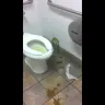 Walmart - terrible bathrooms and manager - Photo 1