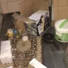 ABC Cargo - "unethical behaviour"behaviour & all items got broken in the shipment. - Photo 11