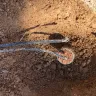 CenturyLink - damage to property during centurylink installation - Photo 1