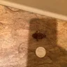 WoodSprings Suites - manager attitude, roach infestation, dangerous "handyman" fixes