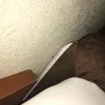 Americas Best Value Inn - bed bugs and dead insects in rooms - Photo 3