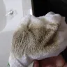 Americas Best Value Inn - hygiene and poor management - Photo 1