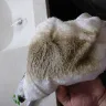 Americas Best Value Inn - hygiene and poor management - Photo 2