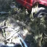Asplundh Tree Expert - debris and damage to personal property - Photo 5
