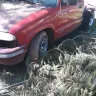 Asplundh Tree Expert - debris and damage to personal property - Photo 2