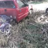 Asplundh Tree Expert - debris and damage to personal property - Photo 3