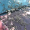 Asplundh Tree Expert - debris and damage to personal property - Photo 1
