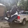 Harley Davidson - product and service - Photo 1