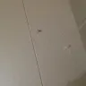 Americas Best Value Inn - lack of cleanliness - Photo 3
