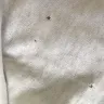 Zara.com - new t-shirt with pin holes on the sleeve area. - Photo 3