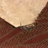 La Quinta Inns & Suites - carpet damage exposed rusted nail