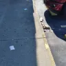 Dollar Tree - condition of exterior grounds - Photo 2