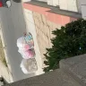 Waste Management [WM] - extra trash bags not being picked up - Photo 1