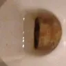 Starbucks - I had to clean the toilet to sit on it - Photo 2