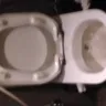 Starbucks - I had to clean the toilet to sit on it - Photo 5