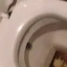 Starbucks - I had to clean the toilet to sit on it - Photo 6
