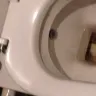 Starbucks - I had to clean the toilet to sit on it - Photo 7